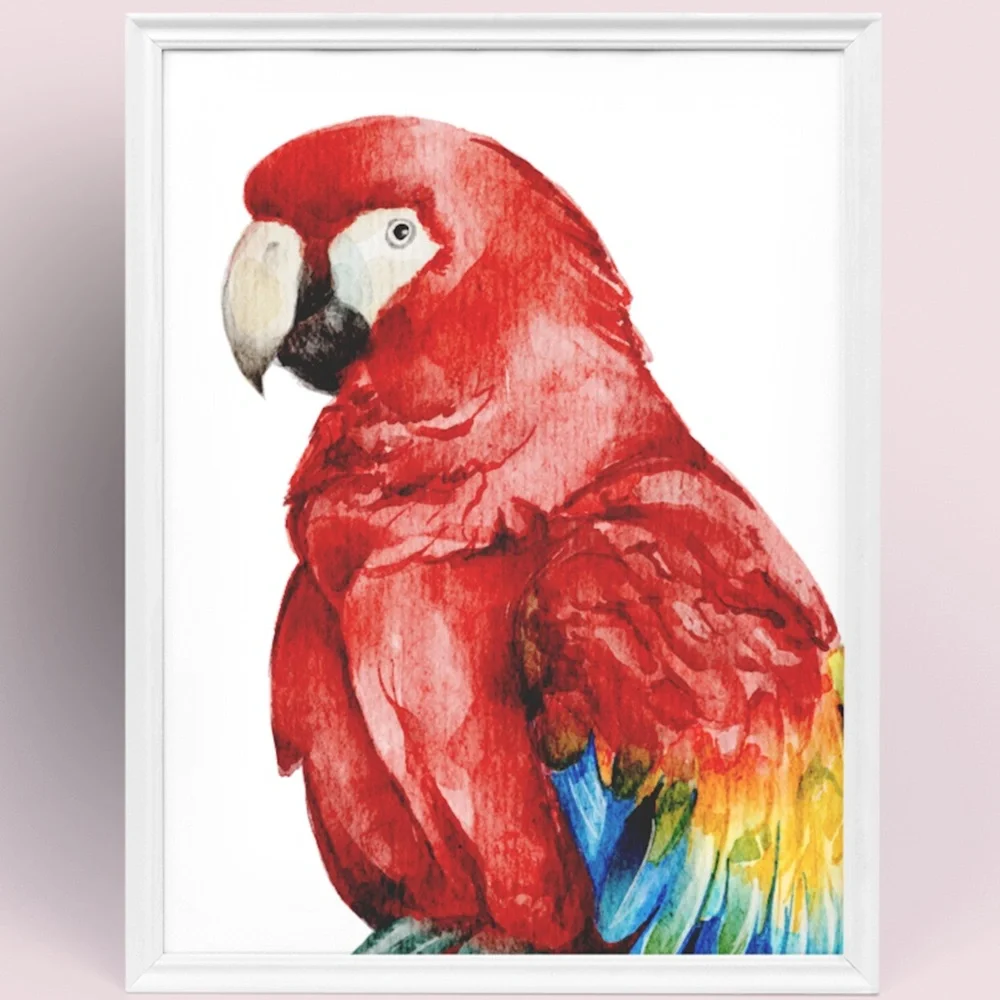 Red Macaw Parrot Bird Watercolor Wall Art Print Poster Unframed - Picture 8 of 8